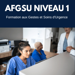 Icone AFGSU 1